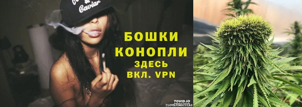 ПСИЛОЦИБИНОВЫЕ ГРИБЫ Лиски