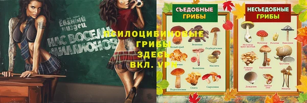 дживик Пенза
