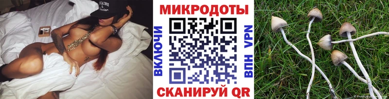 Псилоцибиновые грибы мухоморы  Орехово-Зуево 