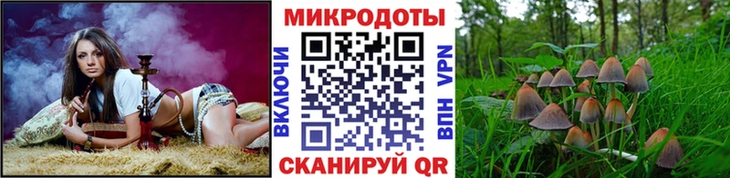 Псилоцибиновые грибы мухоморы Орехово-Зуево